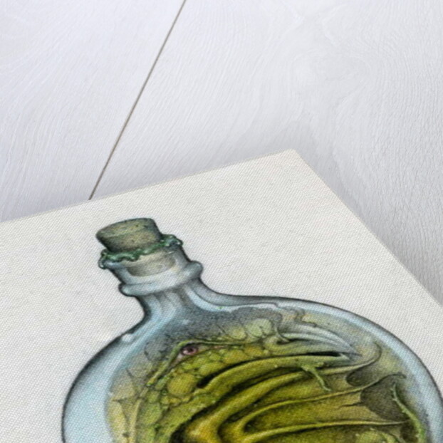 Bottled Dragon, 1991 by Wayne Anderson