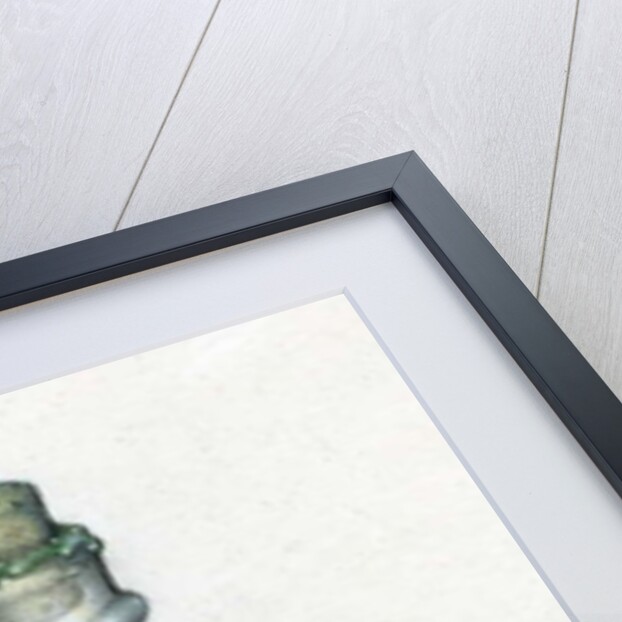 Bottled Dragon, 1991 by Wayne Anderson