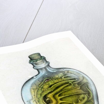 Bottled Dragon, 1991 by Wayne Anderson