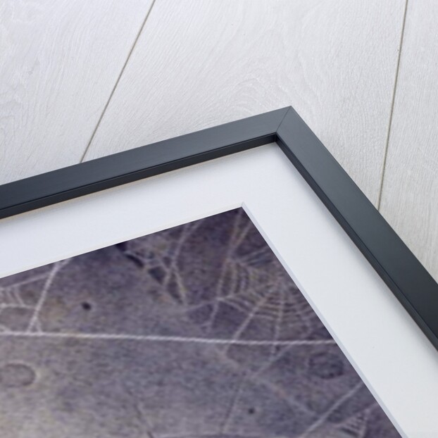 Merlin Turned to Stone, 2000 by Wayne Anderson