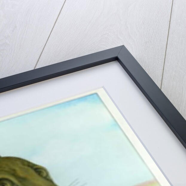 The Hare and the Tortoise, 1983 by Wayne Anderson