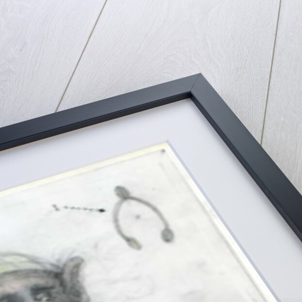 I Spy with my Little Eye, 1999 by Wayne Anderson