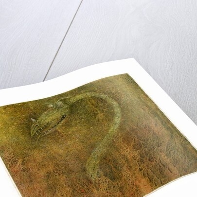 OUT OF THE FLAMES, 2000 by Wayne Anderson