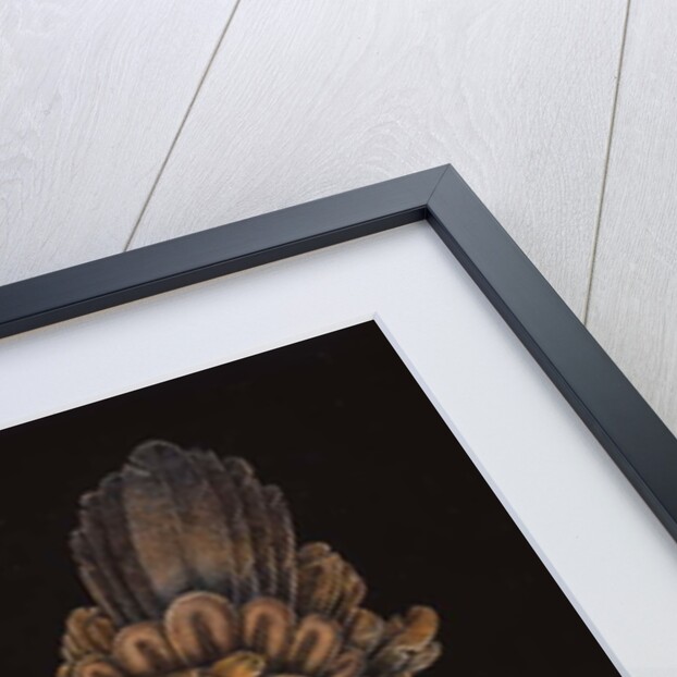 BOMBAX BIRD, 1976 by Wayne Anderson