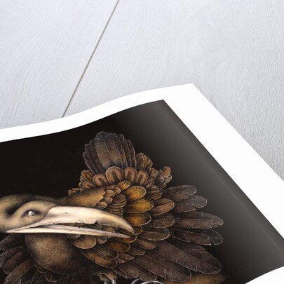 BOMBAX BIRD, 1976 by Wayne Anderson