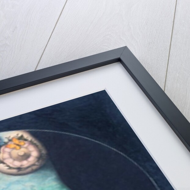 IRIZUMI, 1979 by Wayne Anderson