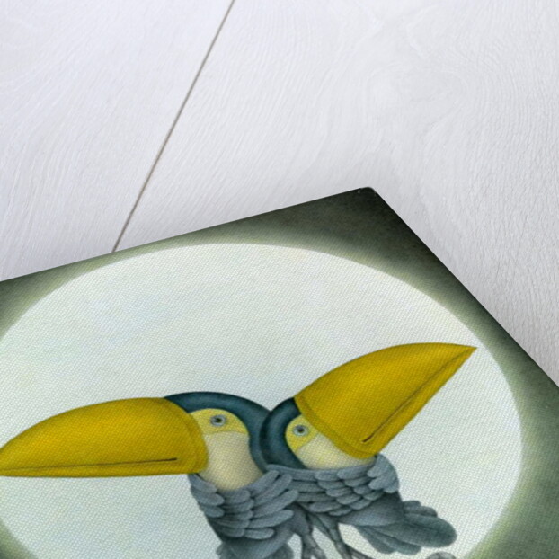 Toucan Can Can, 2010 by Wayne Anderson