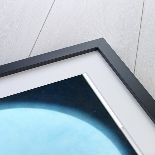 Blue Moon, 2009 by Wayne Anderson