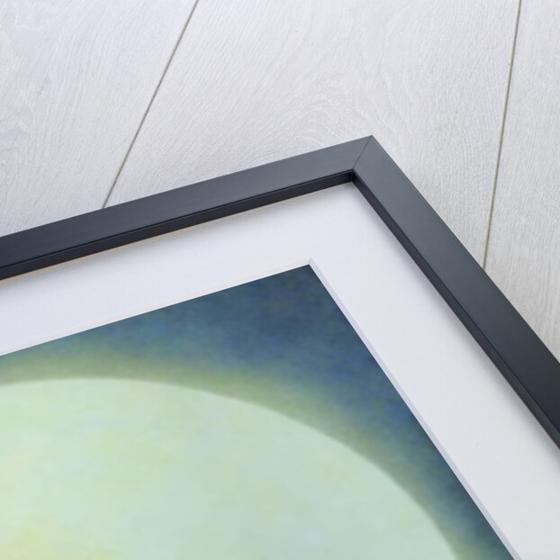 Buzz, 2011 by Wayne Anderson