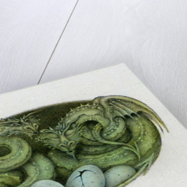 Amphisbaena, 1992 by Wayne Anderson