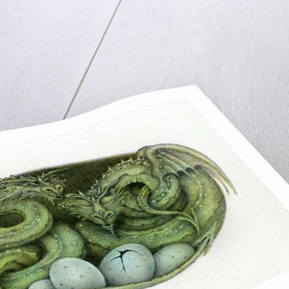 Amphisbaena, 1992 by Wayne Anderson