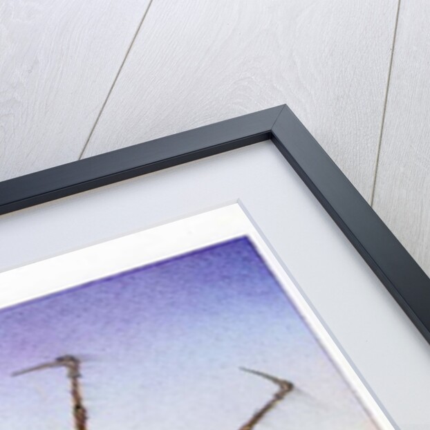 Spinning Spider, 2003 by Wayne Anderson