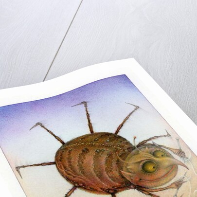 Spinning Spider, 2003 by Wayne Anderson