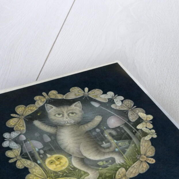 Tom Moggy and the Moon by Wayne Anderson
