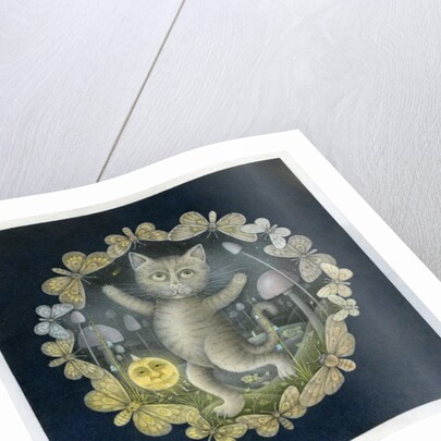 Tom Moggy and the Moon by Wayne Anderson