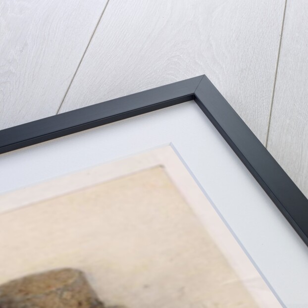 Leprechaun Cobbler, 1999 by Wayne Anderson