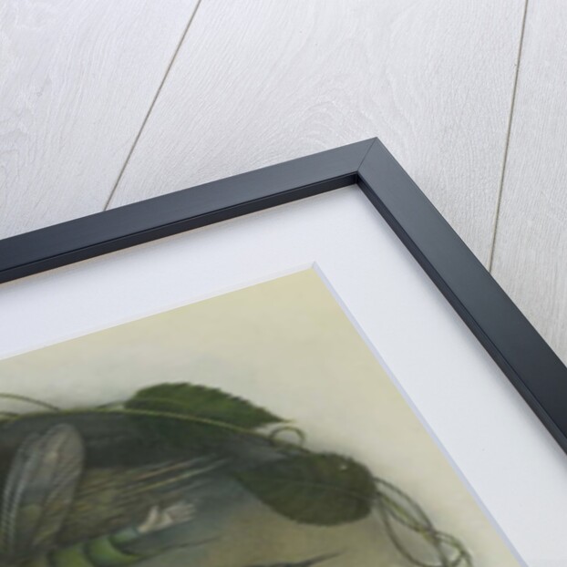 Miss Mint by Wayne Anderson