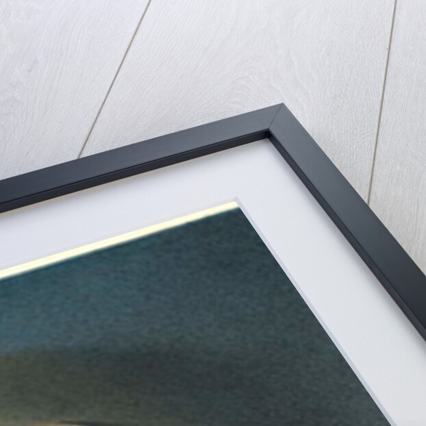 Omermaid, 2007 by Wayne Anderson