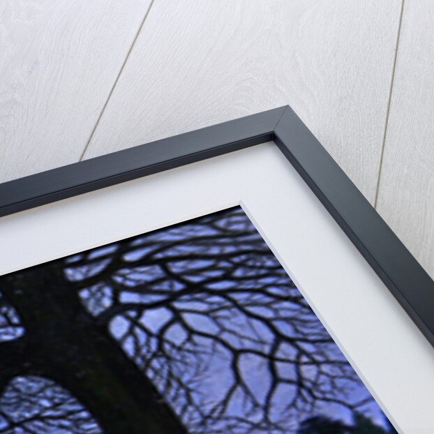 Middleton Park, Oxfordshire by Bell-Currie Walter