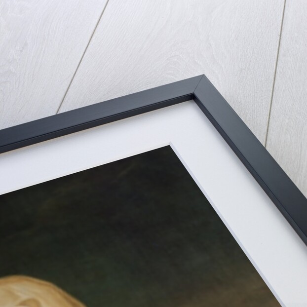 Portrait of Marie Claire Deschamps de Marcilly by Enoch Seeman