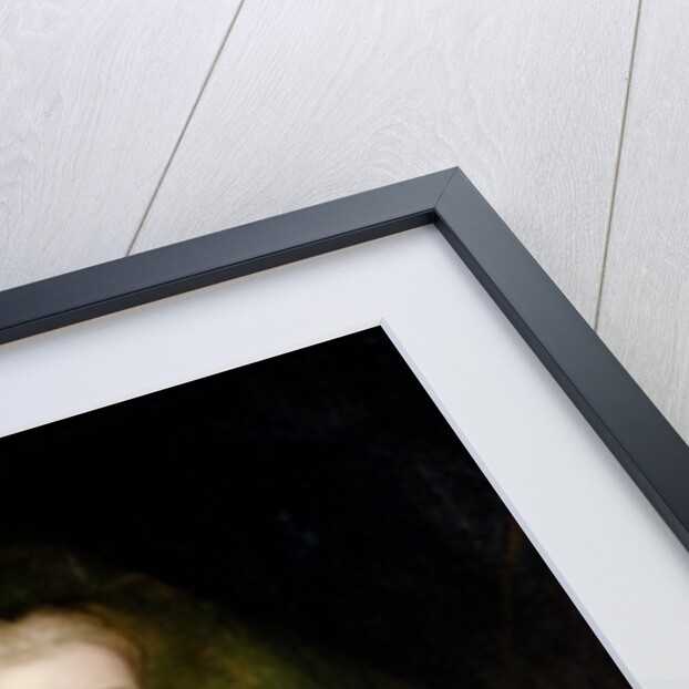 Portrait of Holles St. John by Charles Jervas