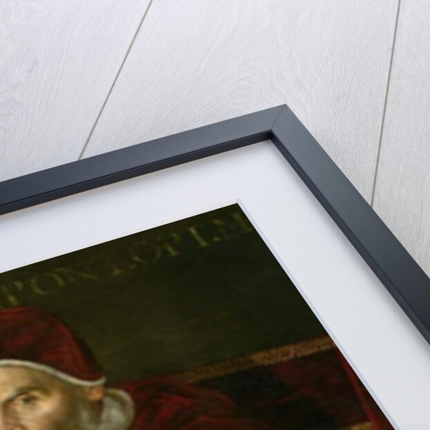 Portrait of Pope Gregory XIII by Lavinia Fontana