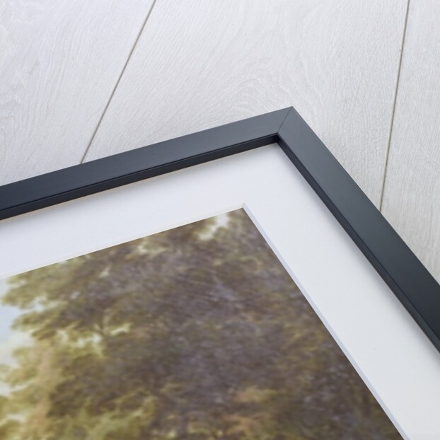 The Creation by Lambert de Hondt