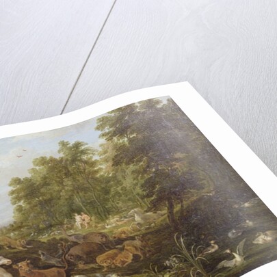 The Creation by Lambert de Hondt