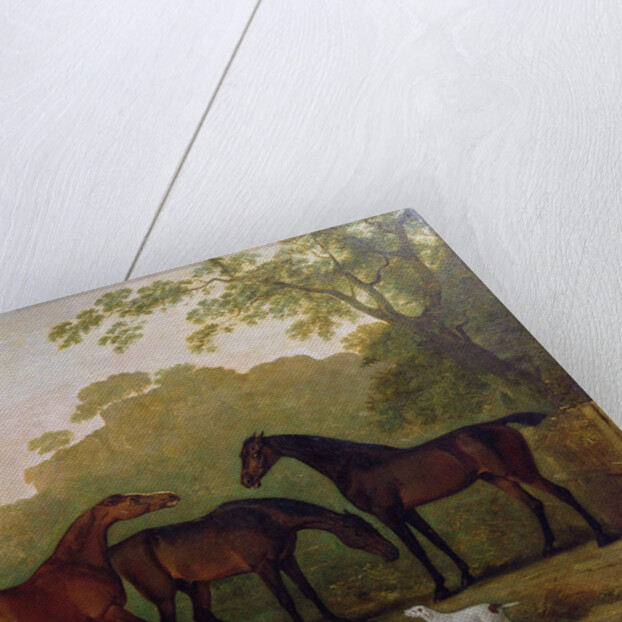 Hunters at Grass by John E. Ferneley