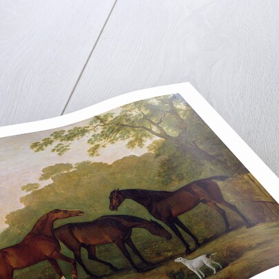 Hunters at Grass by John E. Ferneley