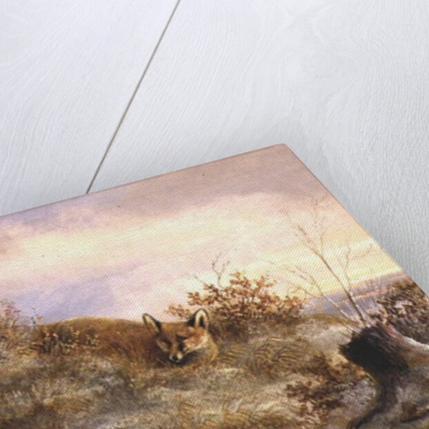 Fox and Pheasants in Winter by Anonymous