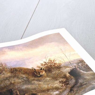 Fox and Pheasants in Winter by Anonymous