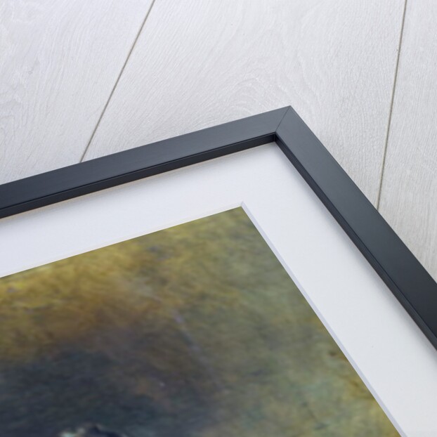 Queen Victoria by George Housman Thomas