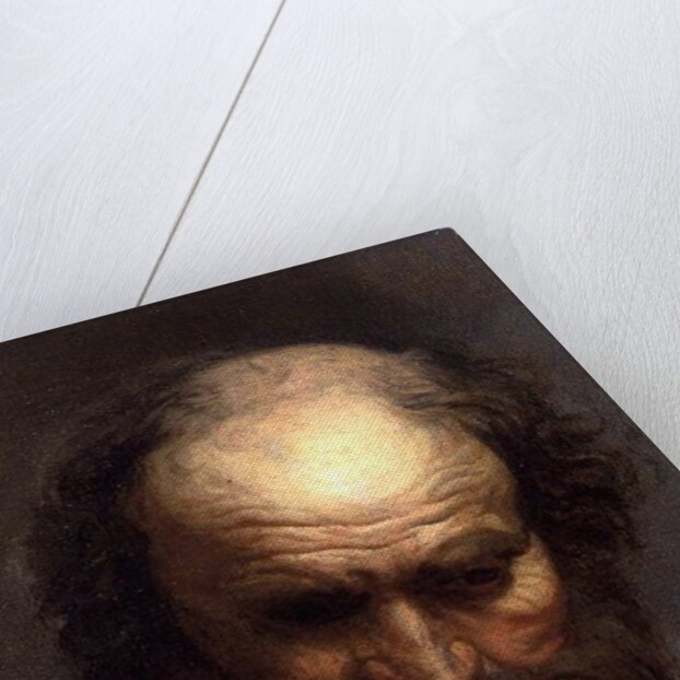 Head of an Old Man by Jacob Jordaens