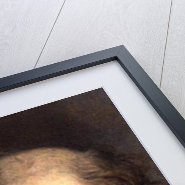 Head of an Old Man by Jacob Jordaens