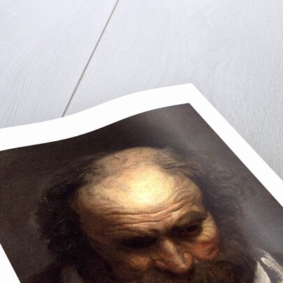 Head of an Old Man by Jacob Jordaens