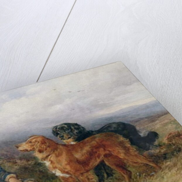 The Young Ghillie, 1871 by James Jnr Hardy