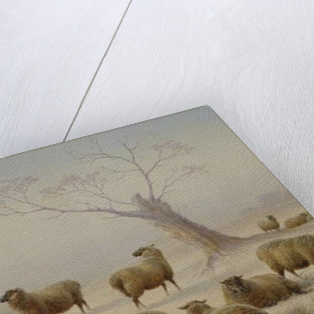 Sheep in Snow, 1880 by Charles Jones