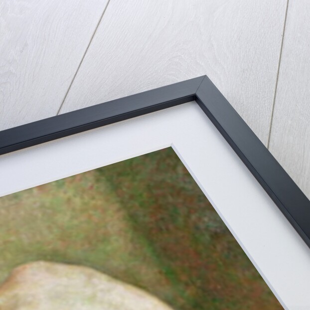 The Bather by Theo van Rysselberghe