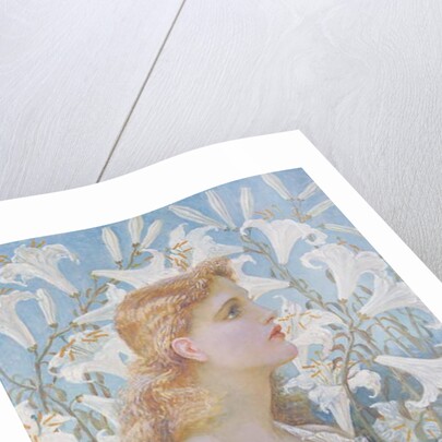 Lilies, 1893 by Walter Crane