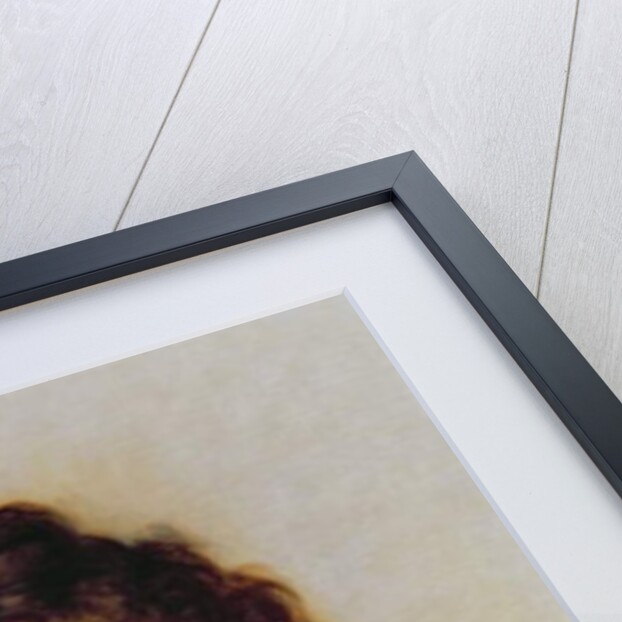 Portrait of a Woman, 1897 by Paul Prosper Tillier