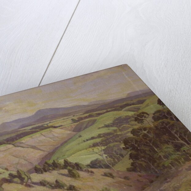 The Mamaku Valley by John Duncan