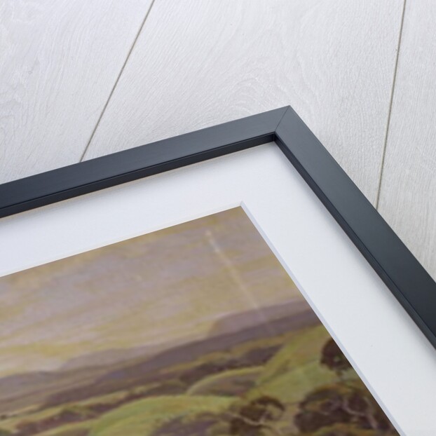 The Mamaku Valley by John Duncan