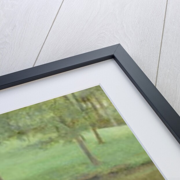 Fosset; Still Water, c.1894 by Fernand Khnopff