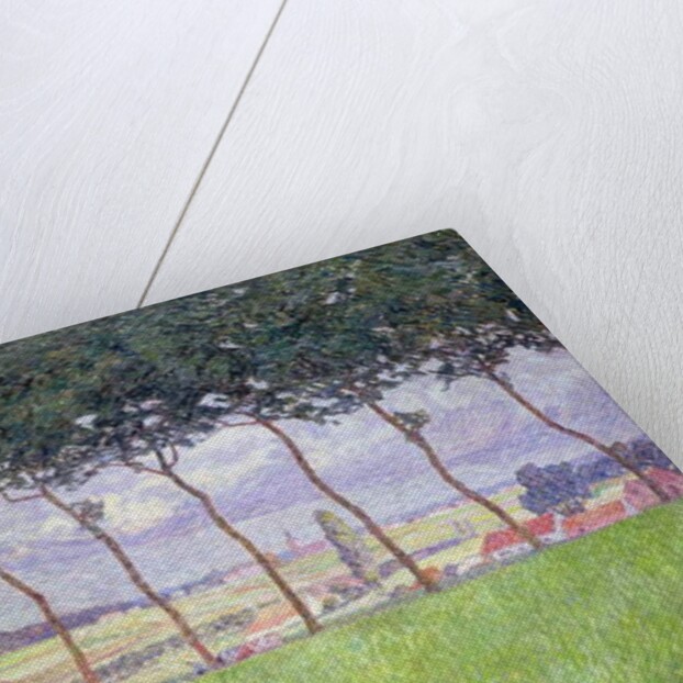 Landscape by Modest Huys