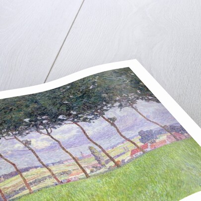 Landscape by Modest Huys