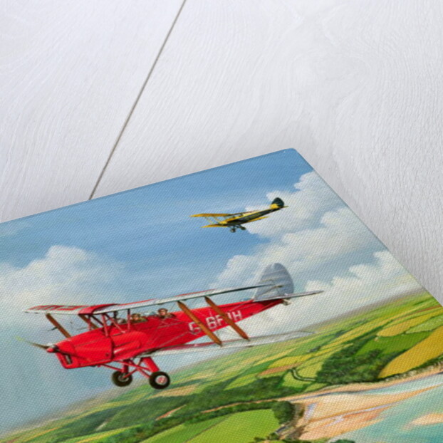 Mothecombe Moths, 1999 by Richard Wheatland