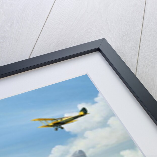 Mothecombe Moths, 1999 by Richard Wheatland