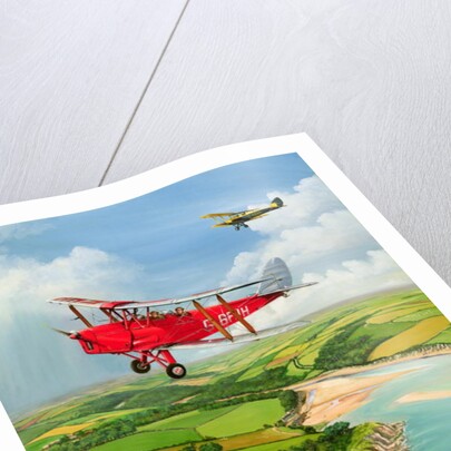 Mothecombe Moths, 1999 by Richard Wheatland