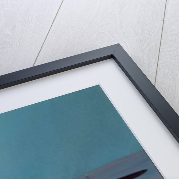 Short Sunderland, 1999 by Richard Wheatland